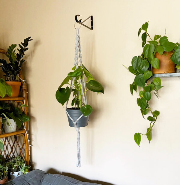 7) February 2025, Whitney Elliott, Mini Workshop: The Basics-Macrame Plant Hanger