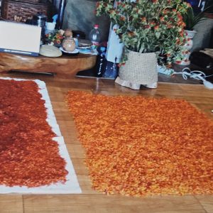 5- October 12, 2026 Master Soon-Nam Kwon Extended Workshop #2 Traditional Korean Crinkle Dyeing With Uiseong Safflower and Indigo