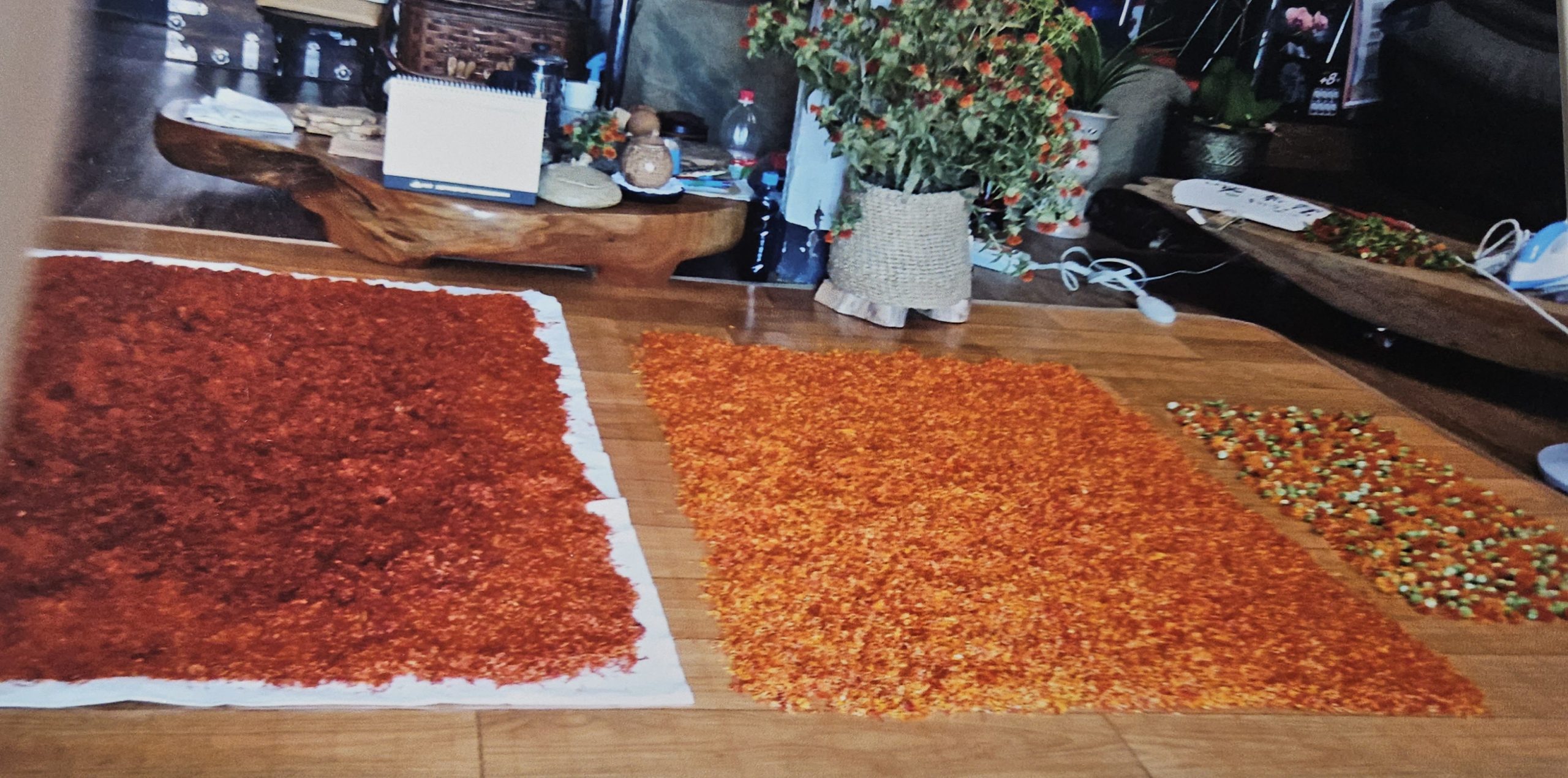 4- October 11, 2026 -Sunday- Master Soon-Nam Kwon Extended Workshop #1 Traditional Korean Crinkle Dyeing With Uiseong Safflower and Indigo